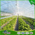 High quality attractive design single span film tunnel greenhouse